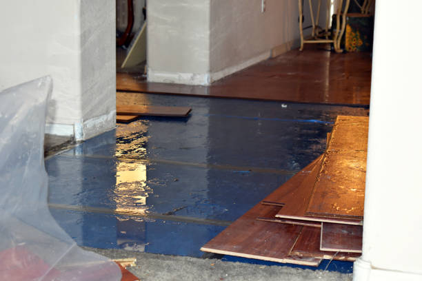 Professional Sewage Cleanup technician working in Johnston, IA